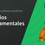 Beneficios Gubernamentales: Guia Completo para Obter Benefícios