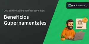 Beneficios Gubernamentales: Guia Completo para Obter Benefícios
